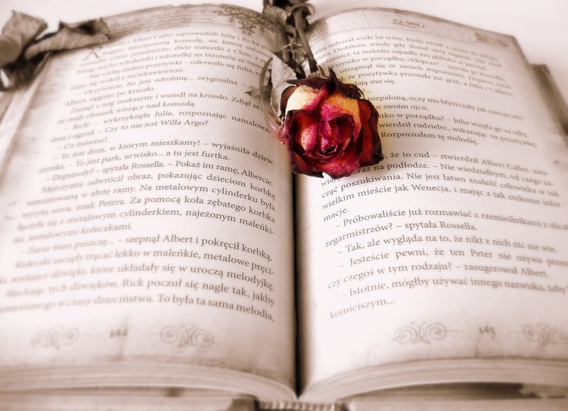 Vintage Book Art